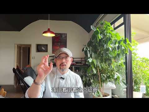 中国最大跨境查税回溯到2018:一张外国护照挡不住｜海外资产｜税务居民｜CRS｜高净值人群｜海外炒股｜离岸信托｜双重征税｜资本外流｜土地财政｜