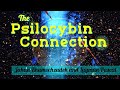 The Psilocybin Connection (Interview with Jahan Khamsehzadeh)