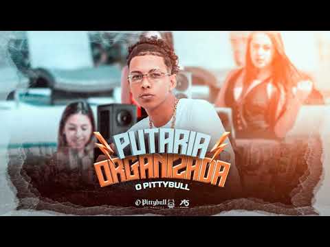 O PITTYBULL - PUTARIA ORGANIZADA 1.0 - SOLINHO HIPNOTIZANTE