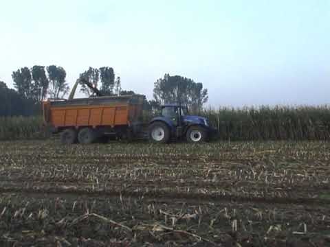 Vansteelant W.: Mais hakselen.