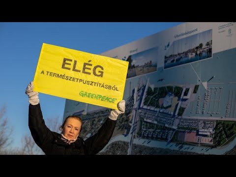 Visszavonatta a bíróság a Fertő-tónál zajló beruházás engedélyét