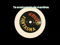 Te enamoraste de mentiras - Grupo Fantasma Mx