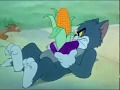 Tom And Jerry Classic The Zoot Cat Part 1 3