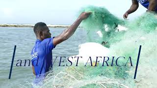 Sea2see Eyewear & Watches