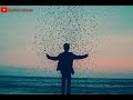 New 2019 WhatsApp Status Jo Dard Mila Apnoo Se Mila
