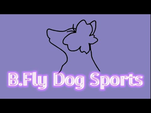 B.Fly Dog Sports - Rally Obedience