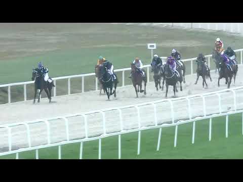 2019.05.05. 08. futam - NÉMETH FERENC EMLÉKKUPA I. FUTAMA HENDIKEP (V.o.(szintetikus pálya)