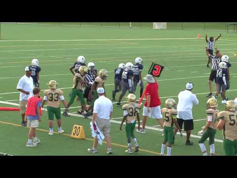 8.19.17 South Gwinnett (Harden) vs. Grayson AS (Chafin) - 12 Year Olds - 6 pm