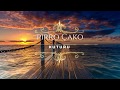 Pirro Çako - Kuturu