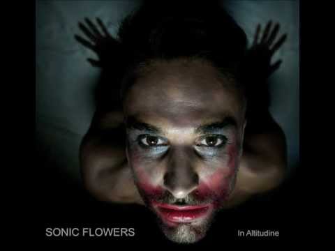 Sonic Flowers - Numero 5