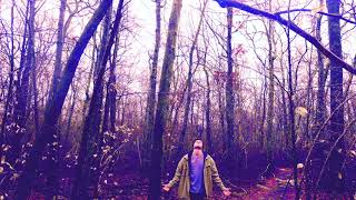 The Psychedelic Odyssey (Ram Dass and Dr. Timothy Leary Tribute)