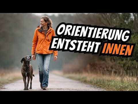 What dogs truly perceive as leadership