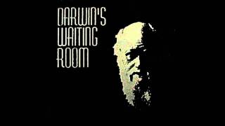 Darwin's Waiting Room - Box