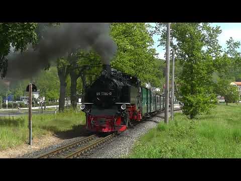 Frühlingsdampf beim Rasenden Roland