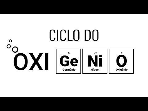 Ciclo do Oxigênio - Ciclos Biogeoquímicos