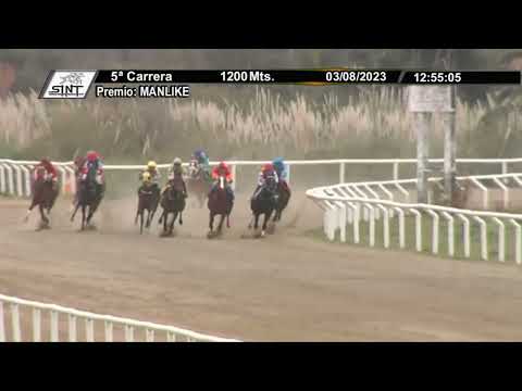 03/08/2023 – Hipodromo Colonia – Carr 5 – MANLIKE