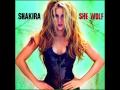 Shakira Feat. T-Pain - She Wolf (Remix) 