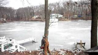 preview picture of video 'Tree falling into frozen lake and breaking ice'