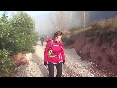SUBIDA A EL GALLINERO  (SIERRA DEL AGUA)