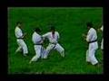 Bunkai Do Heian Nidan
