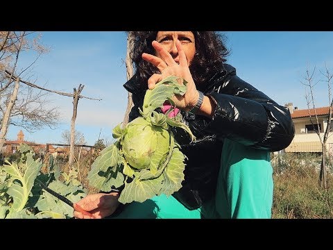 Mal di schiena sensazione di bruciore Mal congiunta del mignolo sulla gamba