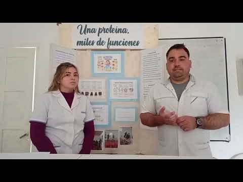 Proyecto "Una Proteína, miles de funciones"- IES- Pampa del Infierno - Chaco