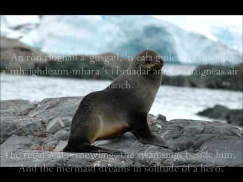 'An Ròn' and  'Ann an Caolas Od Odrum' lyric video //Julie Fowlis