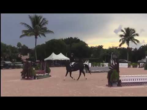 Despacito (Hunter for Sale) Winning at ESP Fall 2020