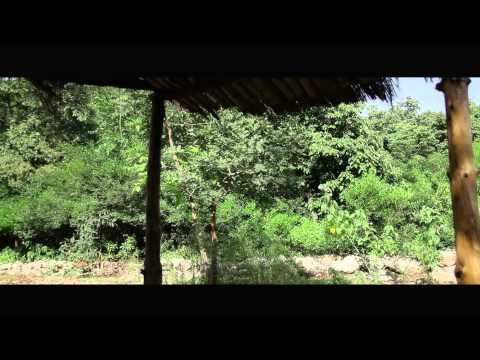 Mudhouse & The Golden Doll (Teaser Trailer 2)