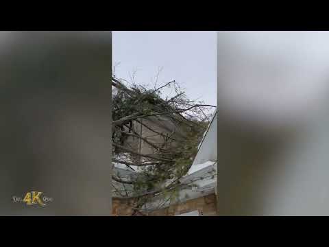 Québec: Tree blown by wind gust falls on house in ongoing winter storm 12-23-2022