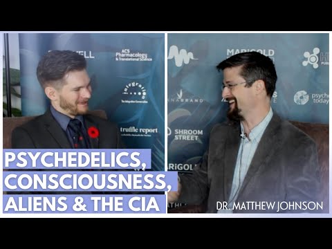 Dr. Matthew Johnson: Psychedelics, Consciousness, DMT Experiences & UFOs