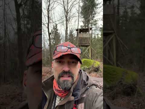 Säsongens sista drevjakt