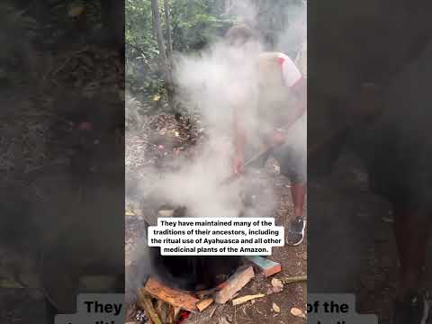 Shipibo Konibo the gatekeepers of Ayahuasca