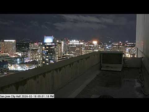 San José City Hall Peregrine Falcon Camera - Ledge
