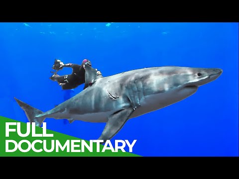 Adventure Ocean Quest: Discovering Another World