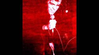 Mercury Rev live, Something for Joey (Roskilde, 1992)