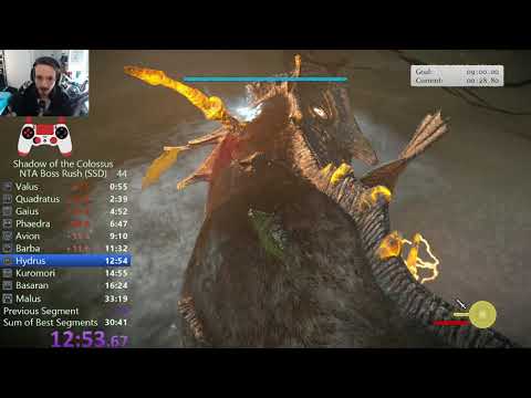 Shadow of the Colossus Normal Boss Rush speedrun - 32:48.95 RTA - 16:46.60 IGT