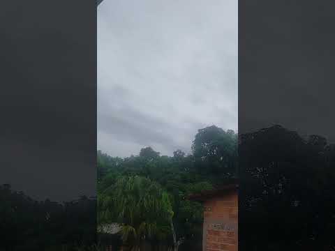 DIA DE CHUVA #maranhão #chuva #chuvas #diadiarural #interior #palmeirândia #shortsfeed #shorts