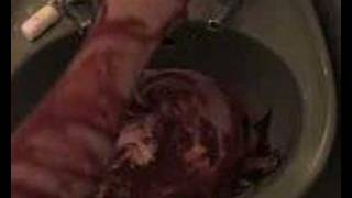 Godflesh - Streetcleaner