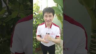 Video máy (tai nghe) trợ thính Funmic EN-IA102C - Cải thiện thính lực cho người lớn tuổi giúp nghe rõ, tự tin trò chuyện và tham gia giao thông an toàn