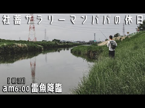YouTube用動画一本丸々編集します イメージ1
