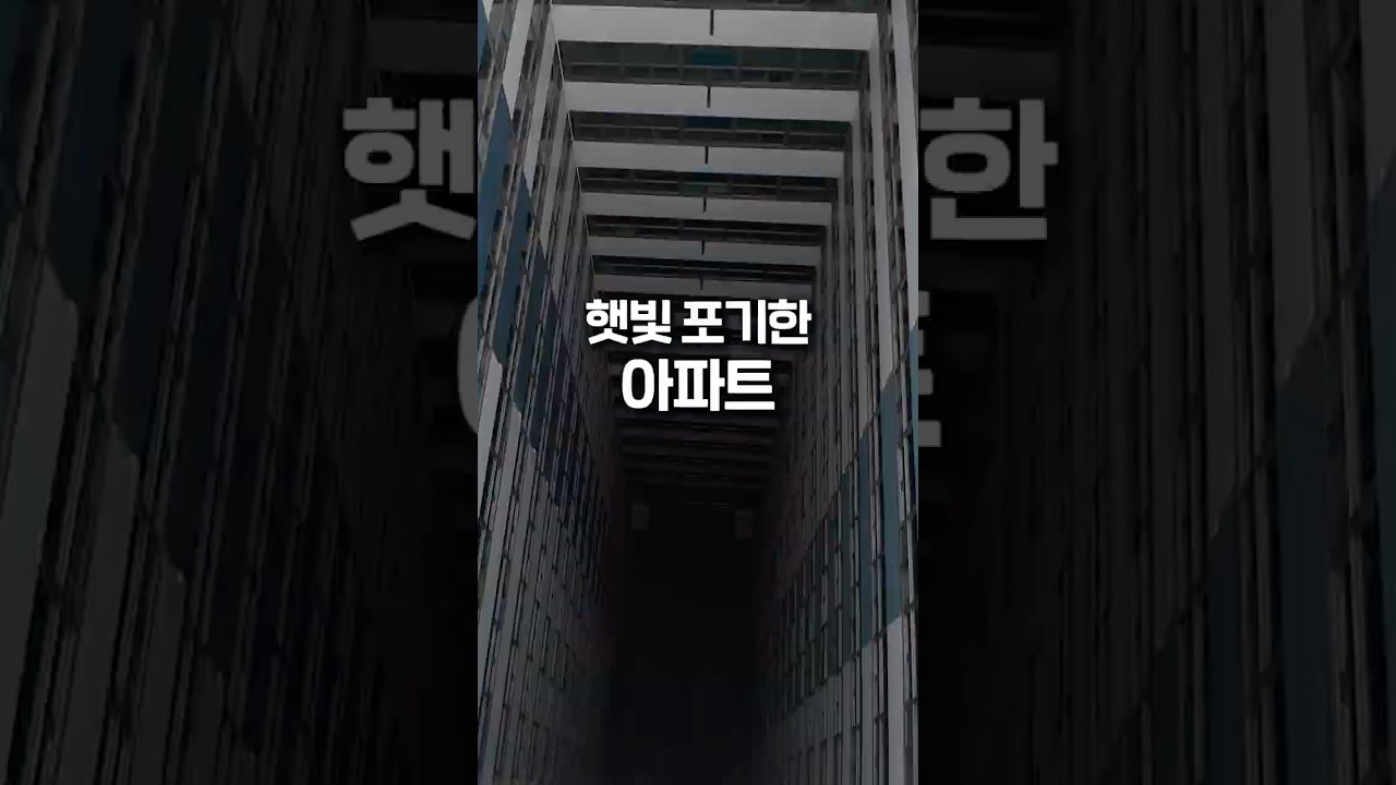 아파트가 햇빛을 포기한 이유