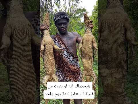 هيحصلك إيه لو بقيت من قبيلة السنتينليز يوم واحد#معلومات #اكسبلور #animals #facts #wildlife