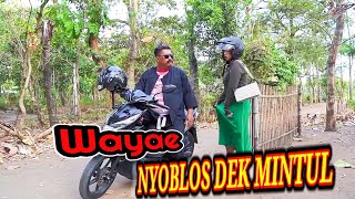 Download lagu Woko Channel Terbaru Hari Ini 2026 ‼️ Komedi Jawa Lucu Terbaru Hari Ini  mp3