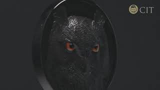 LOVCI V NOCI VÝR VELKÝ coin Hunters by Night Eagl Owl - 2 oz stříbrná mince