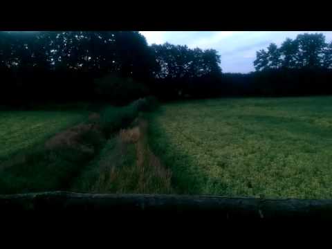 1. Juli 2016 / Blattzeit des Rehwilds beginnt