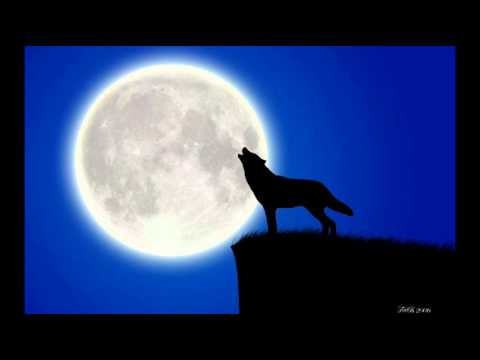 Armin Van Buuren - A State Of Trance - Cressida