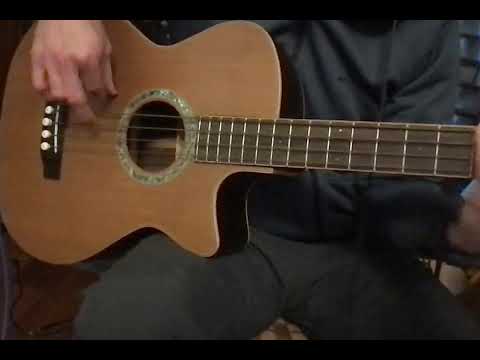 Demo video! Michael Kelly Club deluxe Acoustic Bass with hard case image 14
