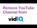 How To Remove Your YouTube Channel From vidIQ Account