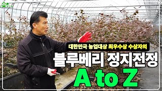 블루베리 정지전정 A to Zㅣ대한민국 농업대상 최우수상 수상자가 알려드립니다